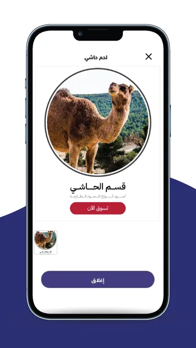 amyaz alhashy Ekran Görüntüleri