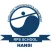 RPS SCHOOL HANSI