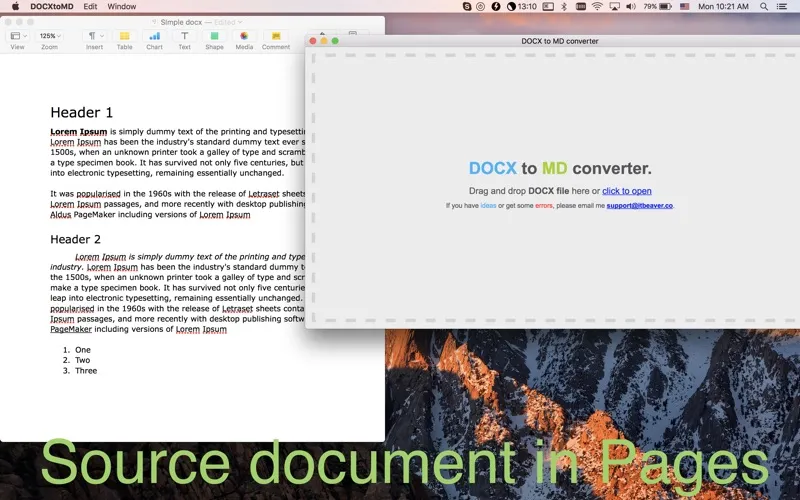 Скриншоты DOCXtoMD converter