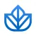 Ivy.co