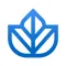 Ivy.co