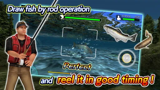 تصاویر Fly Fishing 3D II