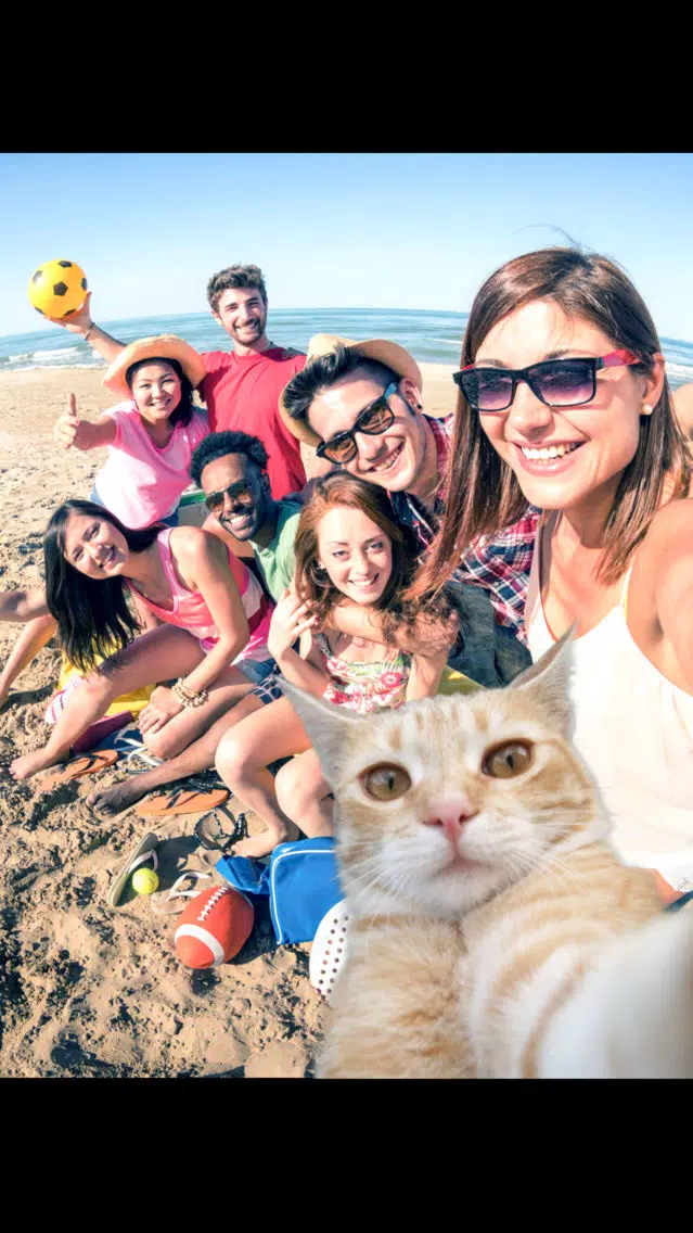 Ảnh chụp màn hình của Selfie Cat Camera