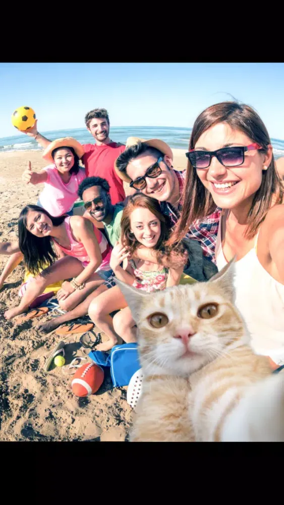 Selfie Cat Camera应用截图