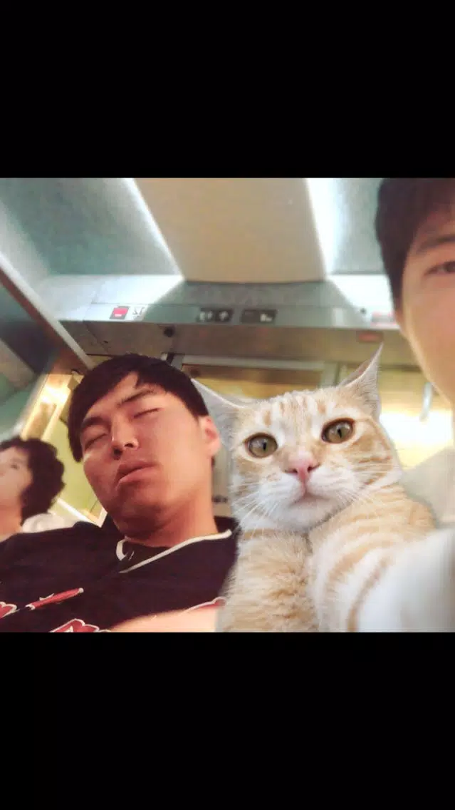 Ảnh chụp màn hình của Selfie Cat Camera