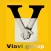 VIAVI GROUP