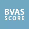 BVAS Score