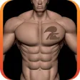 Aesthetic Body