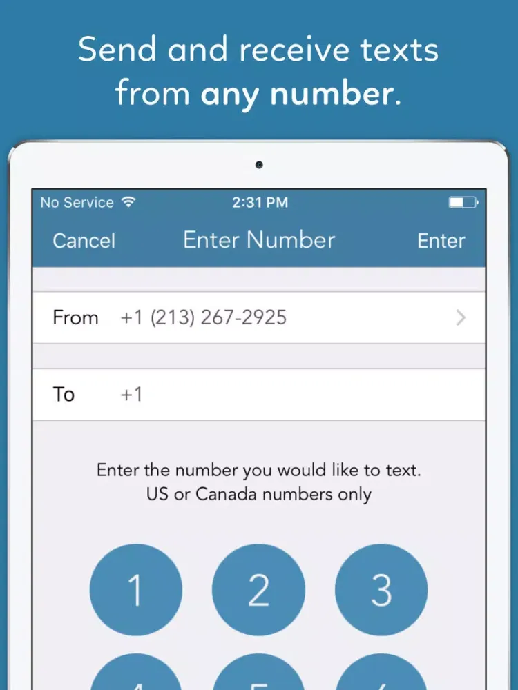 Tangkapan skrin New Texting Number App iPad 