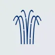 Elbow Springs Golf Club