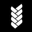 oneKIN - Livestream Shopping oneKIN - Livestream Shopping