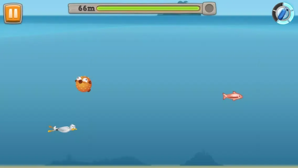 تصاویر Seagull Steven 2