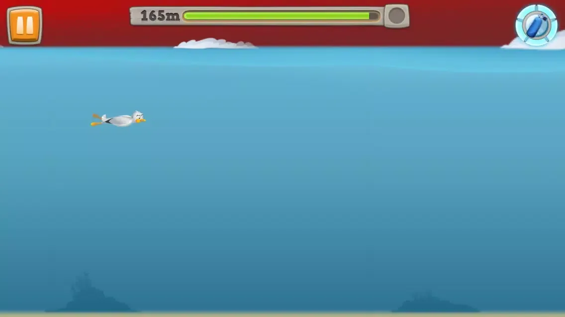 تصاویر Seagull Steven 2