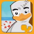 Seagull Steven Seagull Steven