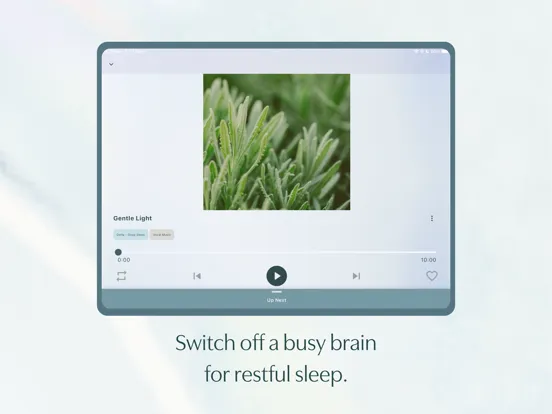 Скриншоты Restful: focus & sleep sounds iPad 