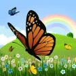Coloring Book: Butterfly