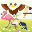 Flying Birds Match Games for Toddlers and Kids Flying Birds Match Games for Toddlers and Kids