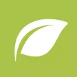 HONESTLY ECO LTD HONESTLY ECO LTD