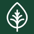 Superfood Market