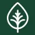 Superfood Market