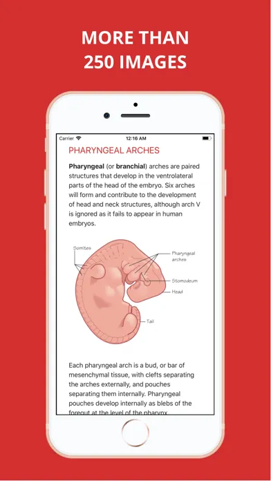 Embryology Pro Screenshots