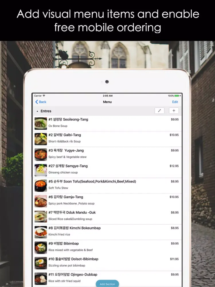 Tangkapan skrin Ness Business iPad 