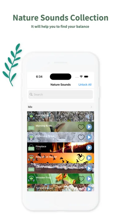 Nature Sounds: Yoga and Sleep应用截图