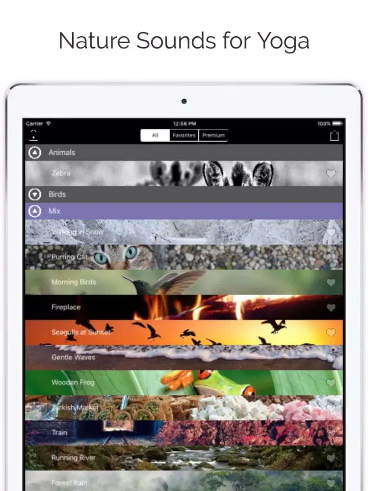 Nature Sleep Sounds Pro iPad  স্ক্রিনশট
