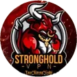StrongHold VPN Dark