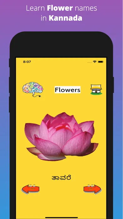 Learn Kannada Flashcards स्क्रीनशॉट