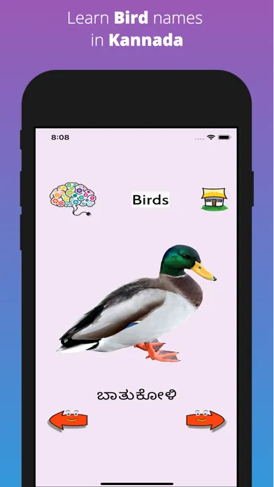 Learn Kannada Flashcards स्क्रीनशॉट
