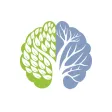 Mindset Therapy Mindset Therapy