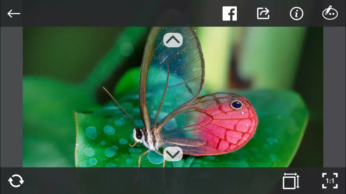 ProofQuick for iOS স্ক্রিনশট