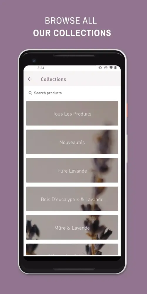 Maison Lavande Screenshots