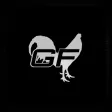 Gallo Fino