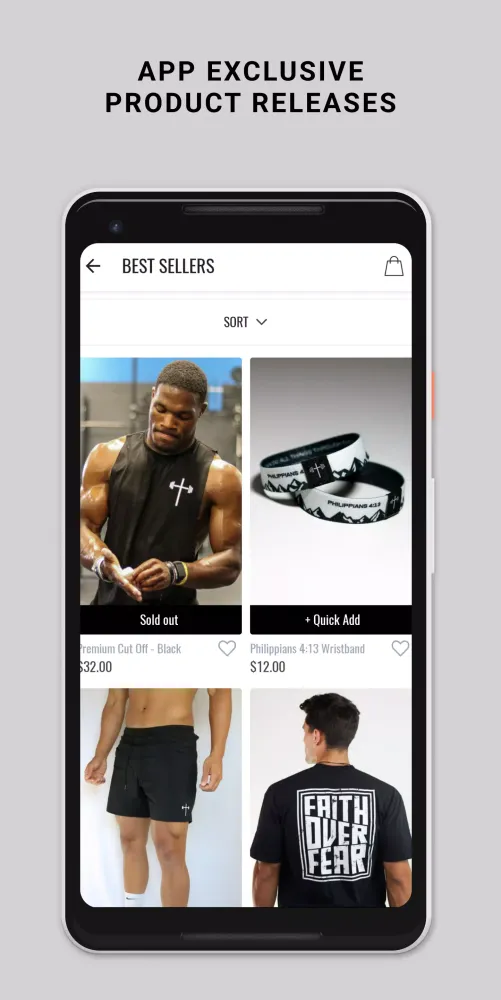 HolStrength Screenshots