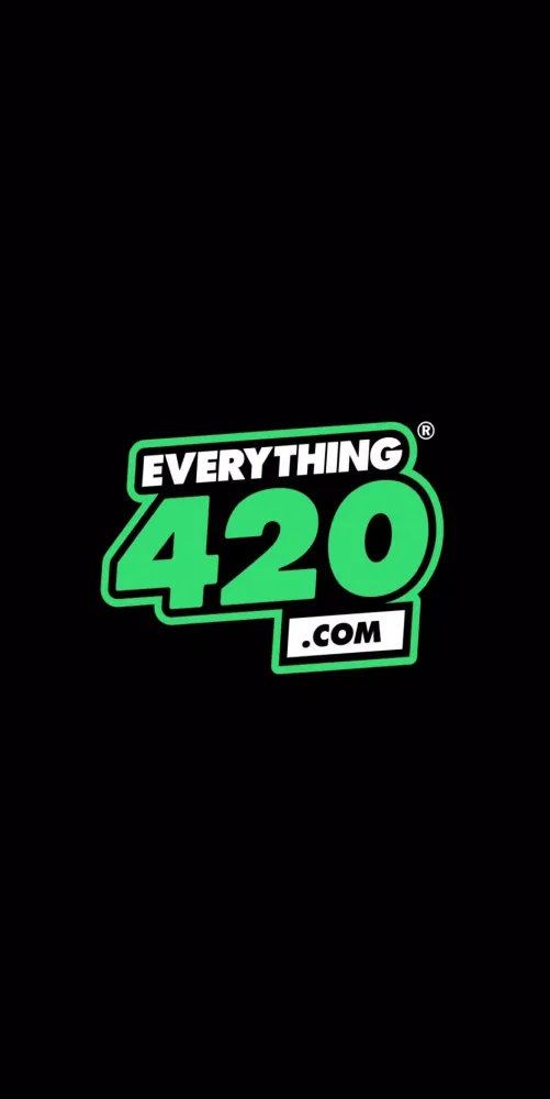 Tangkapan skrin Everything 420