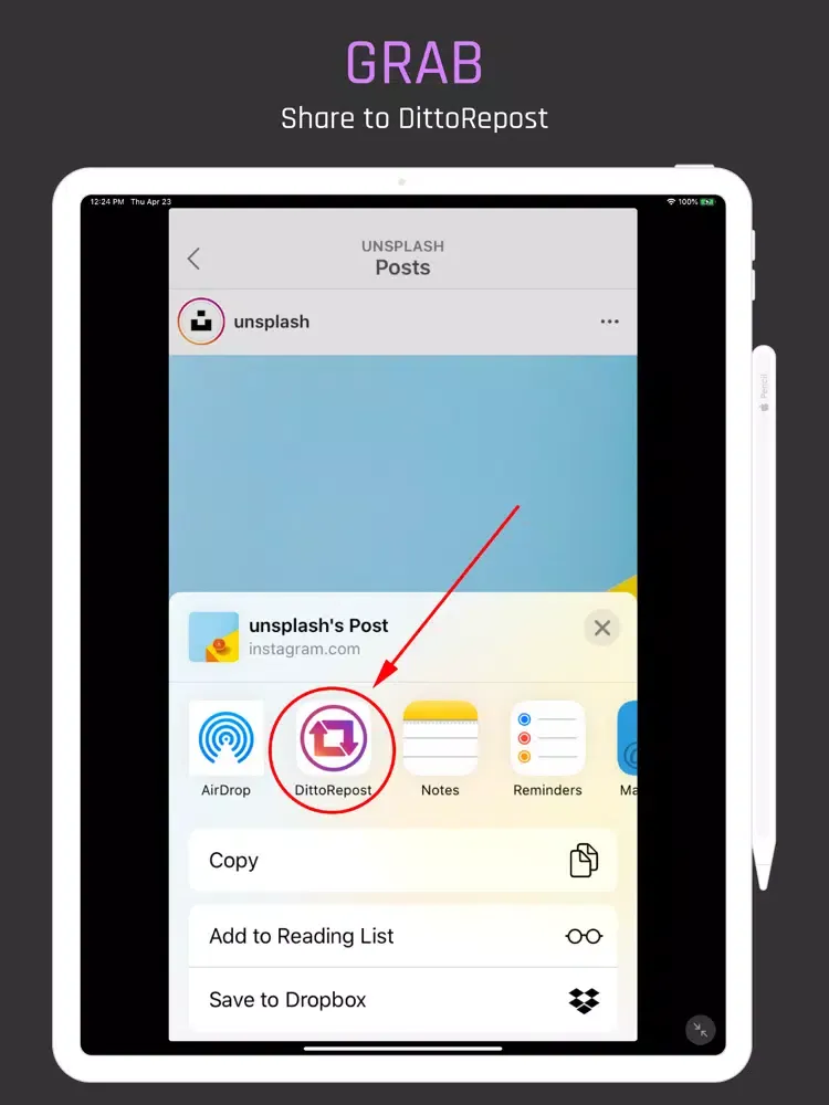 Zrzuty ekranu DittoRepost for Instagram iPad 