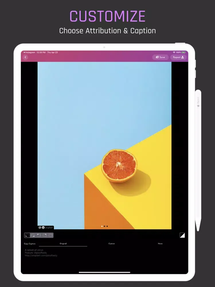 Zrzuty ekranu DittoRepost for Instagram iPad 