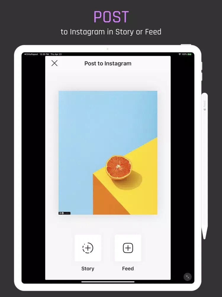 Zrzuty ekranu DittoRepost for Instagram iPad 
