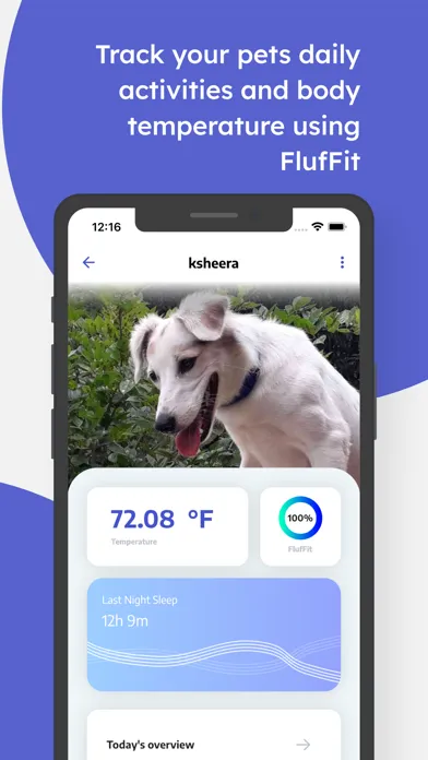 Capturas de tela do The Fond App