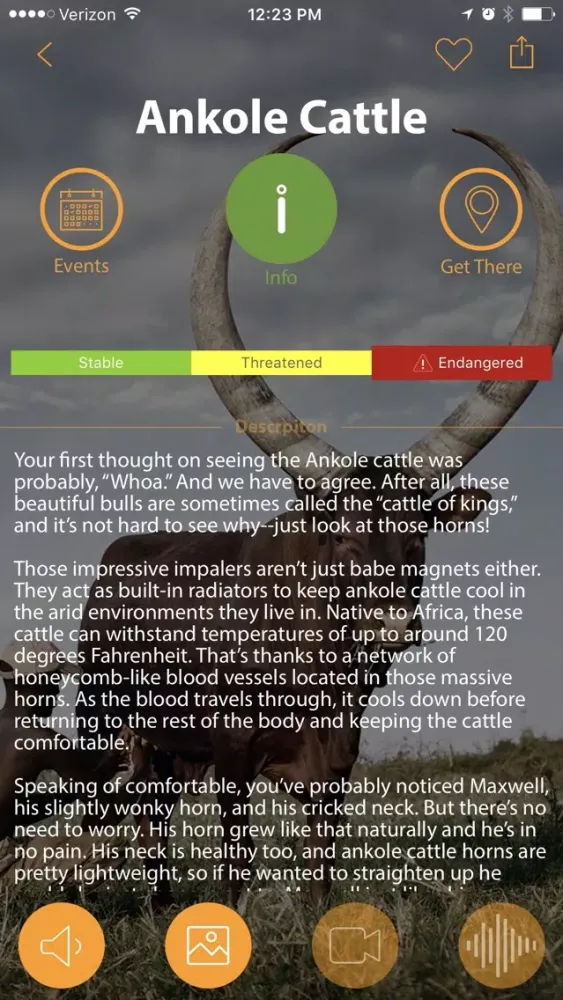 تصاویر The Living Desert