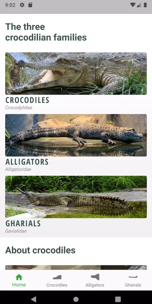 Crocodile, Alligator, Gharial: Screenshots