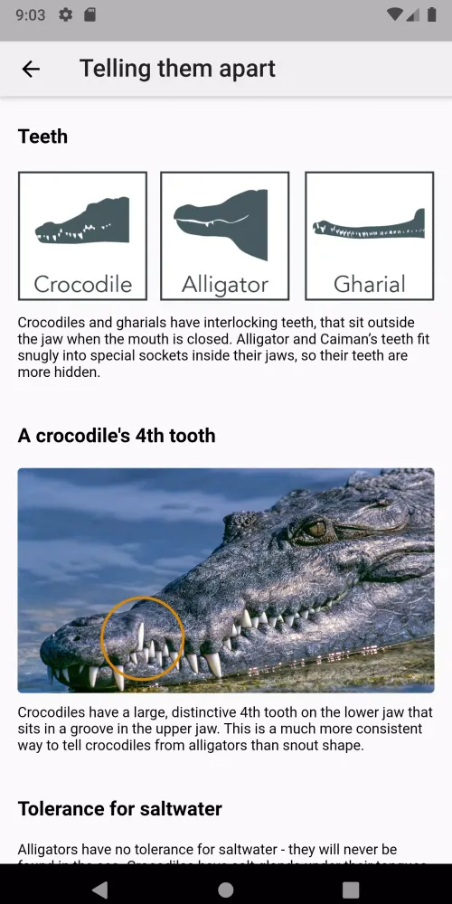 Crocodile, Alligator, Gharial: Screenshots