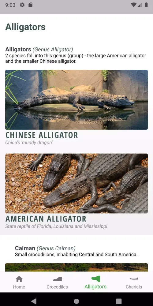 Crocodile, Alligator, Gharial: Screenshots