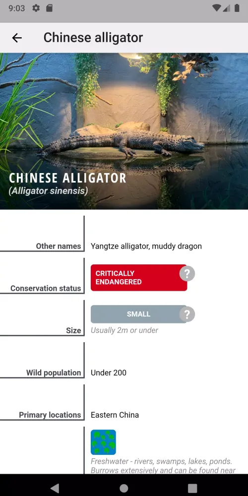 Crocodile, Alligator, Gharial: Screenshots