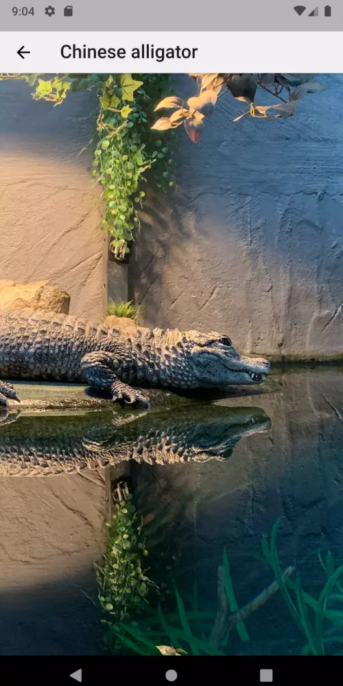 Crocodile, Alligator, Gharial: Screenshots