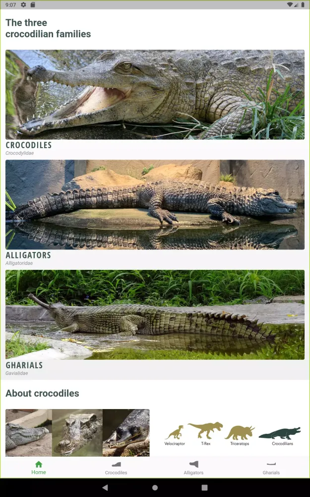 Crocodile, Alligator, Gharial: Screenshots