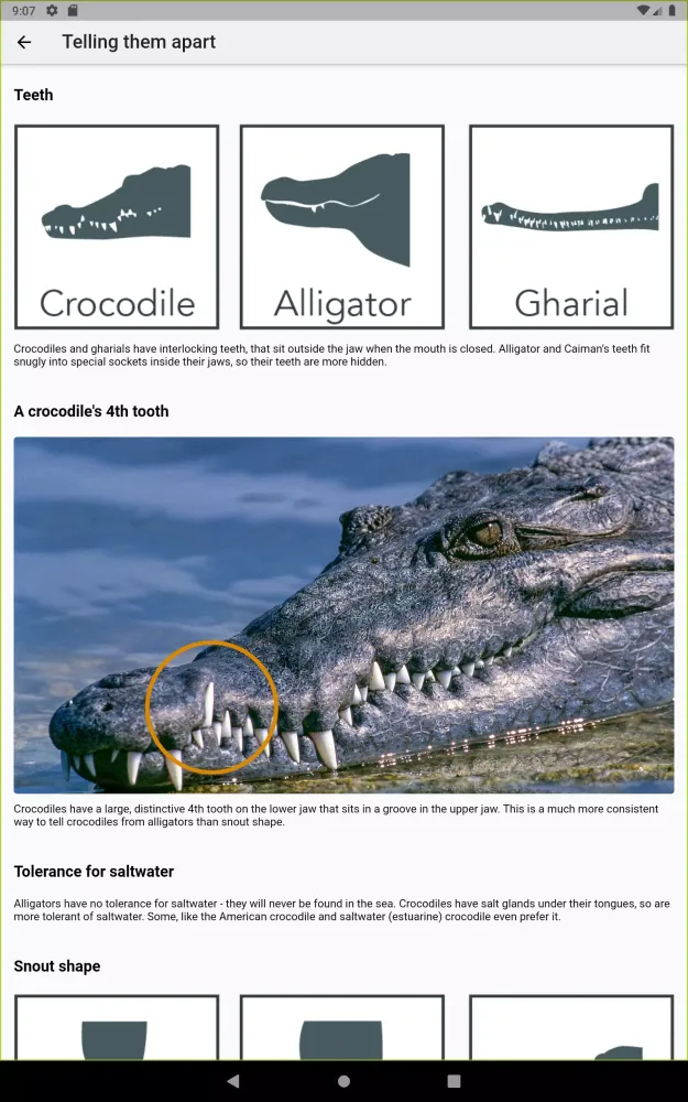 Crocodile, Alligator, Gharial: Screenshots
