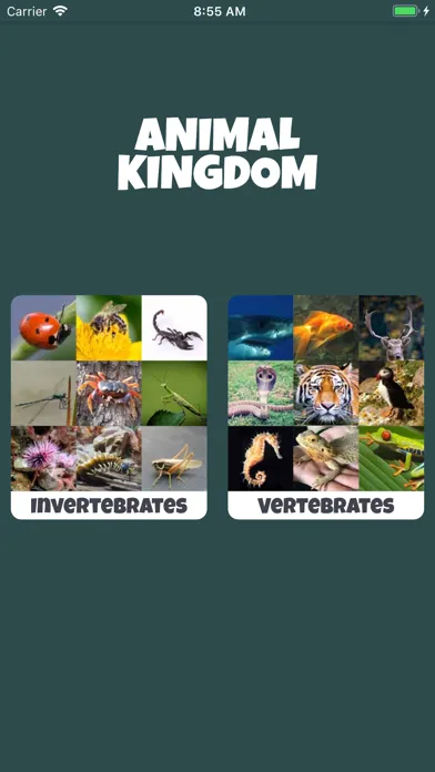 Animal Kingdom (wildlife)应用截图